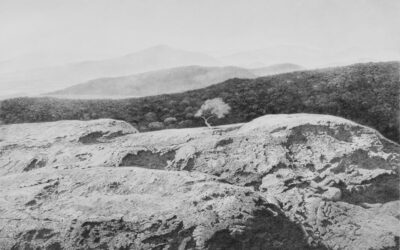 Landscapes